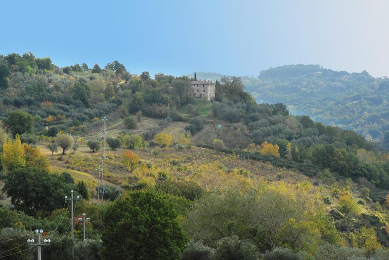 Agriturismo Il Poggio Degli Scoiattoli Перуджа Экстерьер фото